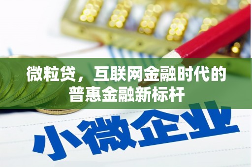 天元微粒贷，互联网金融时代的普惠金融新标杆