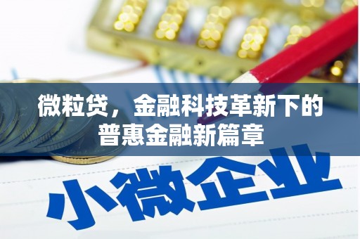 天元微粒贷，金融科技革新下的普惠金融新篇章