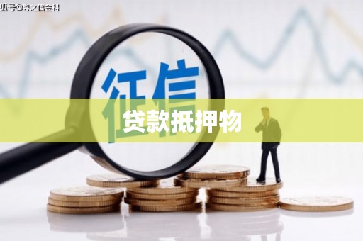 天元贷款抵押物