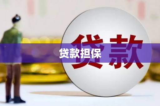 天元贷款担保