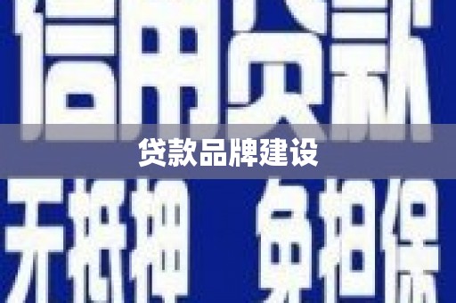 天元贷款品牌建设