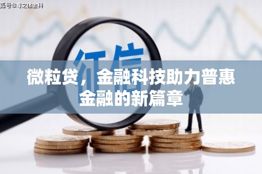 天元微粒贷，金融科技助力普惠金融的新篇章
