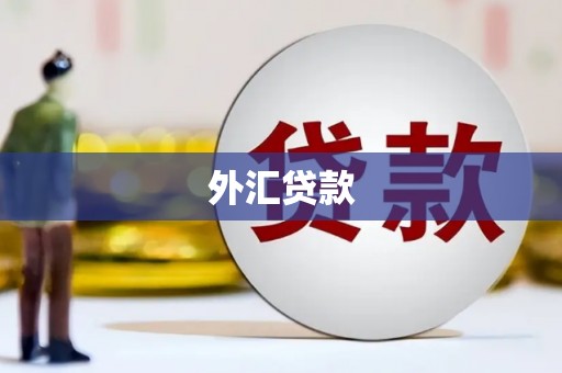 天元外汇贷款