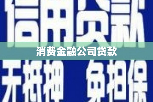天元消费金融公司贷款
