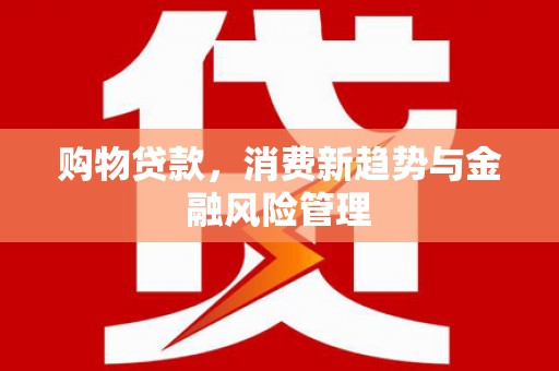 天元购物贷款，消费新趋势与金融风险管理
