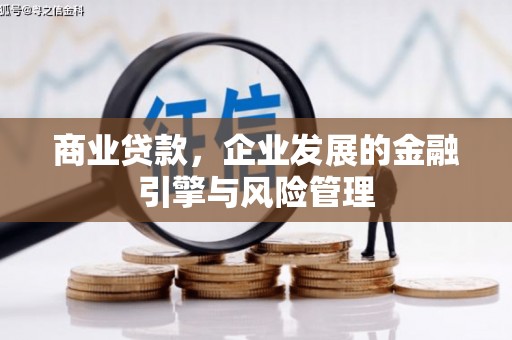 天元商业贷款，企业发展的金融引擎与风险管理