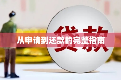 天元从申请到还款的完整指南