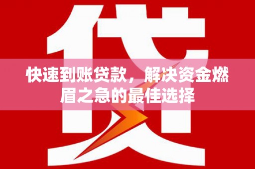 天元快速到账贷款，解决资金燃眉之急的最佳选择