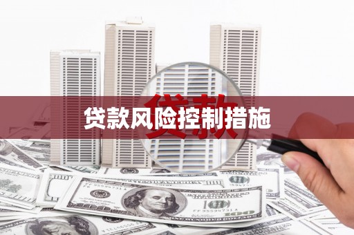 天元贷款风险控制措施