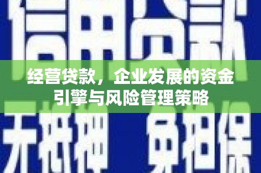 天元经营贷款，企业发展的资金引擎与风险管理策略