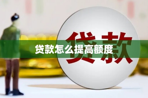 天元贷款怎么提高额度