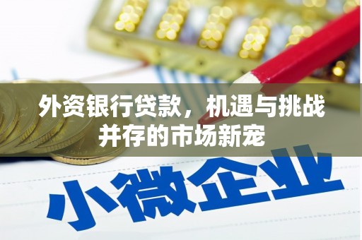 天元外资银行贷款，机遇与挑战并存的市场新宠