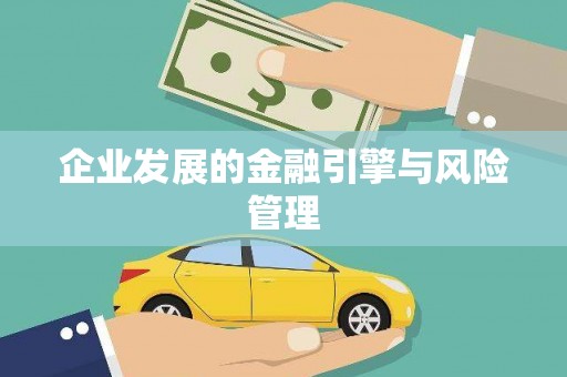 天元企业发展的金融引擎与风险管理