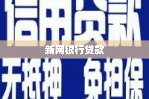 天元新网银行贷款