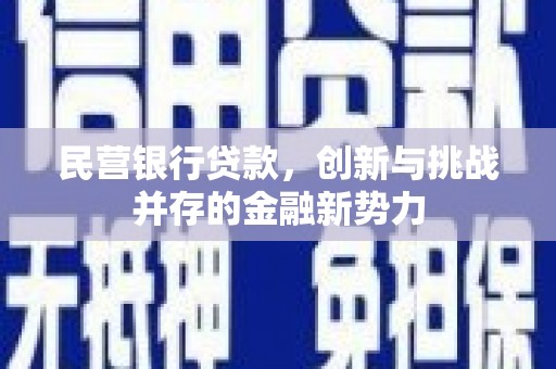天元民营银行贷款，创新与挑战并存的金融新势力