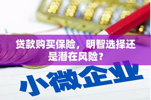天元贷款购买保险，明智选择还是潜在风险？