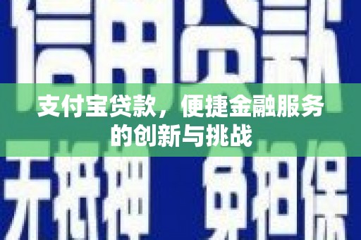 天元支付宝贷款，便捷金融服务的创新与挑战