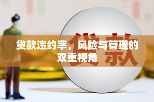 天元贷款违约率，风险与管理的双重视角