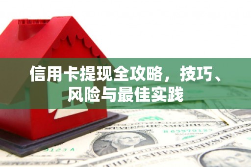 天元信用卡提现全攻略，技巧、风险与最佳实践