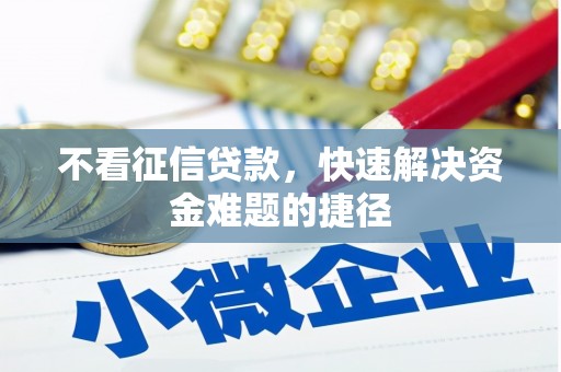 天元不看征信贷款，快速解决资金难题的捷径
