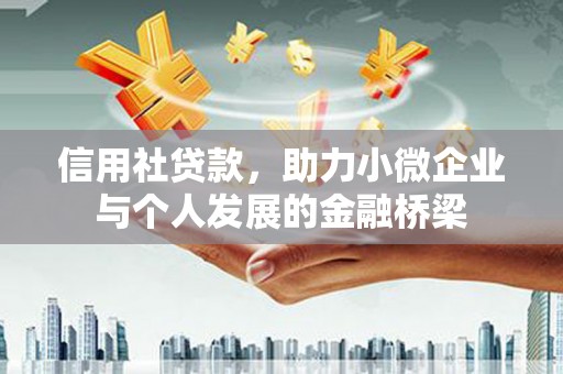 天元信用社贷款，助力小微企业与个人发展的金融桥梁