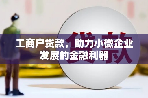天元工商户贷款，助力小微企业发展的金融利器