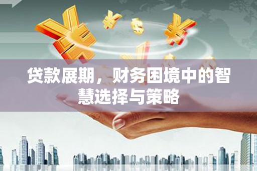 天元贷款展期，财务困境中的智慧选择与策略