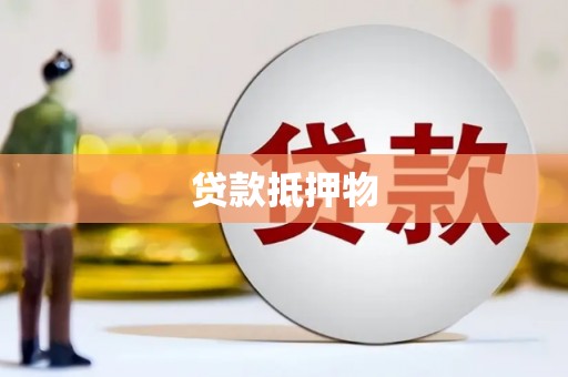 天元贷款抵押物