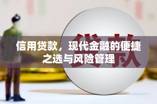 天元信用贷款，现代金融的便捷之选与风险管理