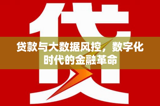 天元贷款与大数据风控，数字化时代的金融革命