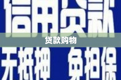 天元贷款购物