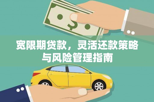 天元宽限期贷款，灵活还款策略与风险管理指南