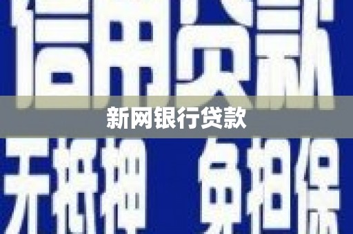 天元新网银行贷款