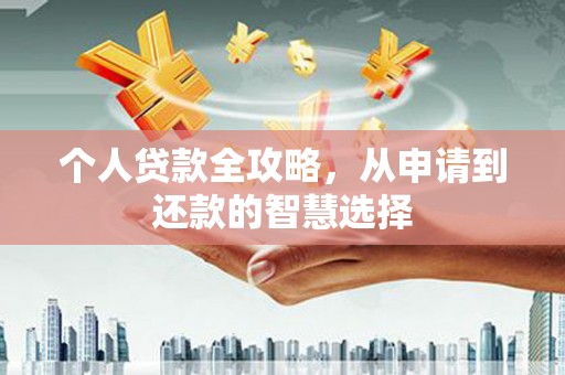 天元个人贷款全攻略，从申请到还款的智慧选择