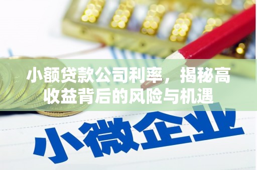 天元小额贷款公司利率，揭秘高收益背后的风险与机遇