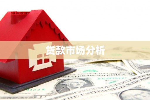 天元贷款市场分析