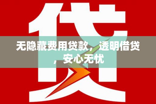 天元无隐藏费用贷款，透明借贷，安心无忧