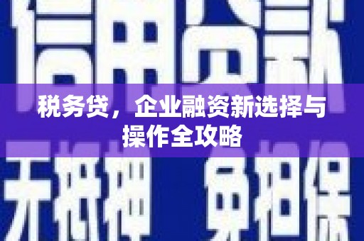 天元税务贷，企业融资新选择与操作全攻略