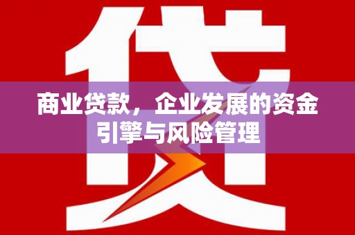 天元商业贷款，企业发展的资金引擎与风险管理