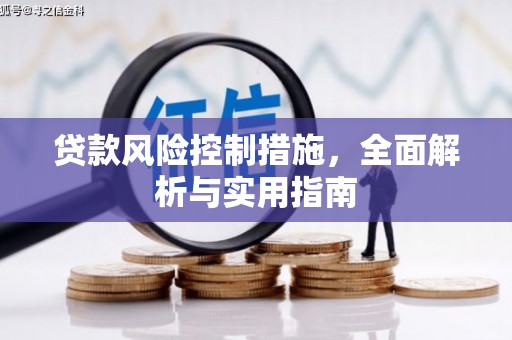 天元贷款风险控制措施，全面解析与实用指南