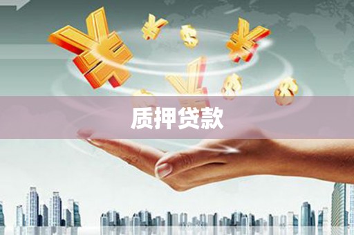 天元质押贷款
