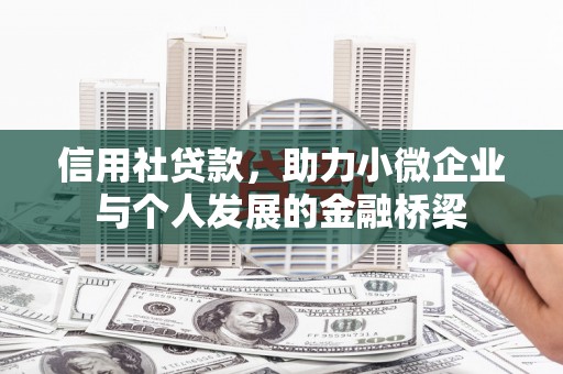 天元信用社贷款，助力小微企业与个人发展的金融桥梁