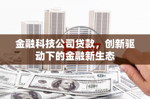 天元金融科技公司贷款，创新驱动下的金融新生态