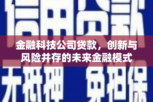 天元金融科技公司贷款，创新与风险并存的未来金融模式