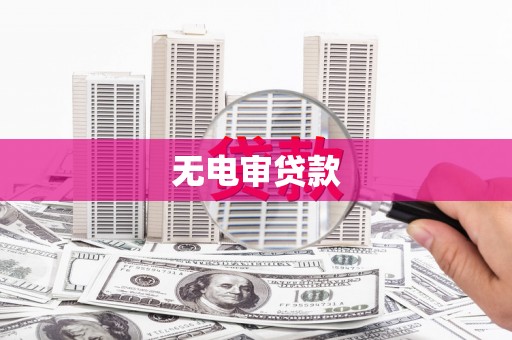 天元无电审贷款