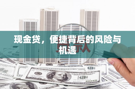 天元现金贷，便捷背后的风险与机遇