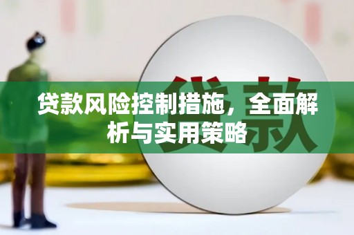天元贷款风险控制措施，全面解析与实用策略