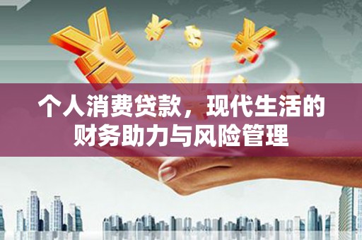 天元个人消费贷款，现代生活的财务助力与风险管理
