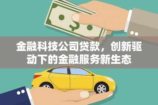 天元金融科技公司贷款，创新驱动下的金融服务新生态