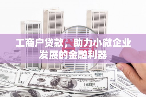 天元工商户贷款，助力小微企业发展的金融利器